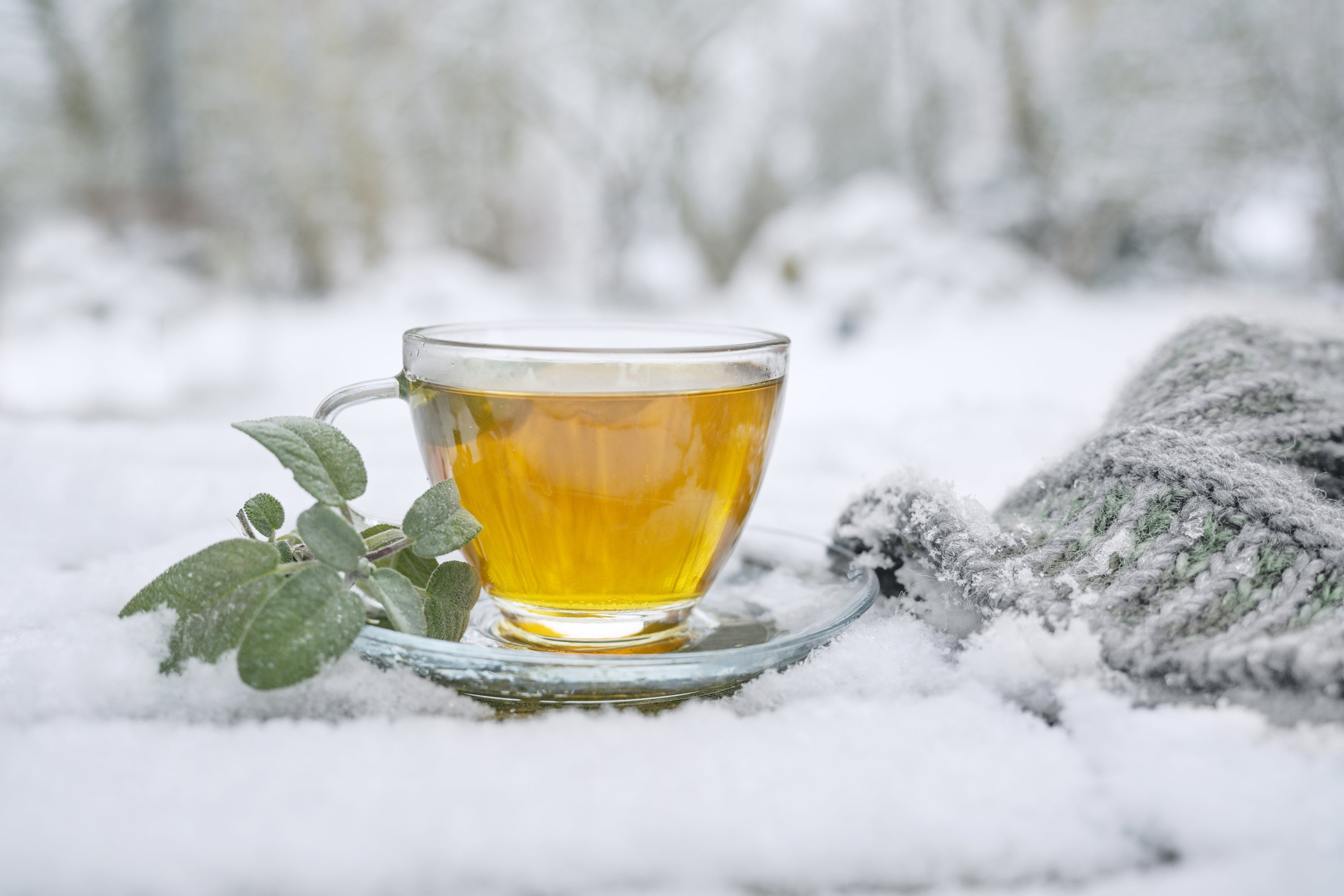 The Odd Couple of Winter: Cold Weather and Digestion