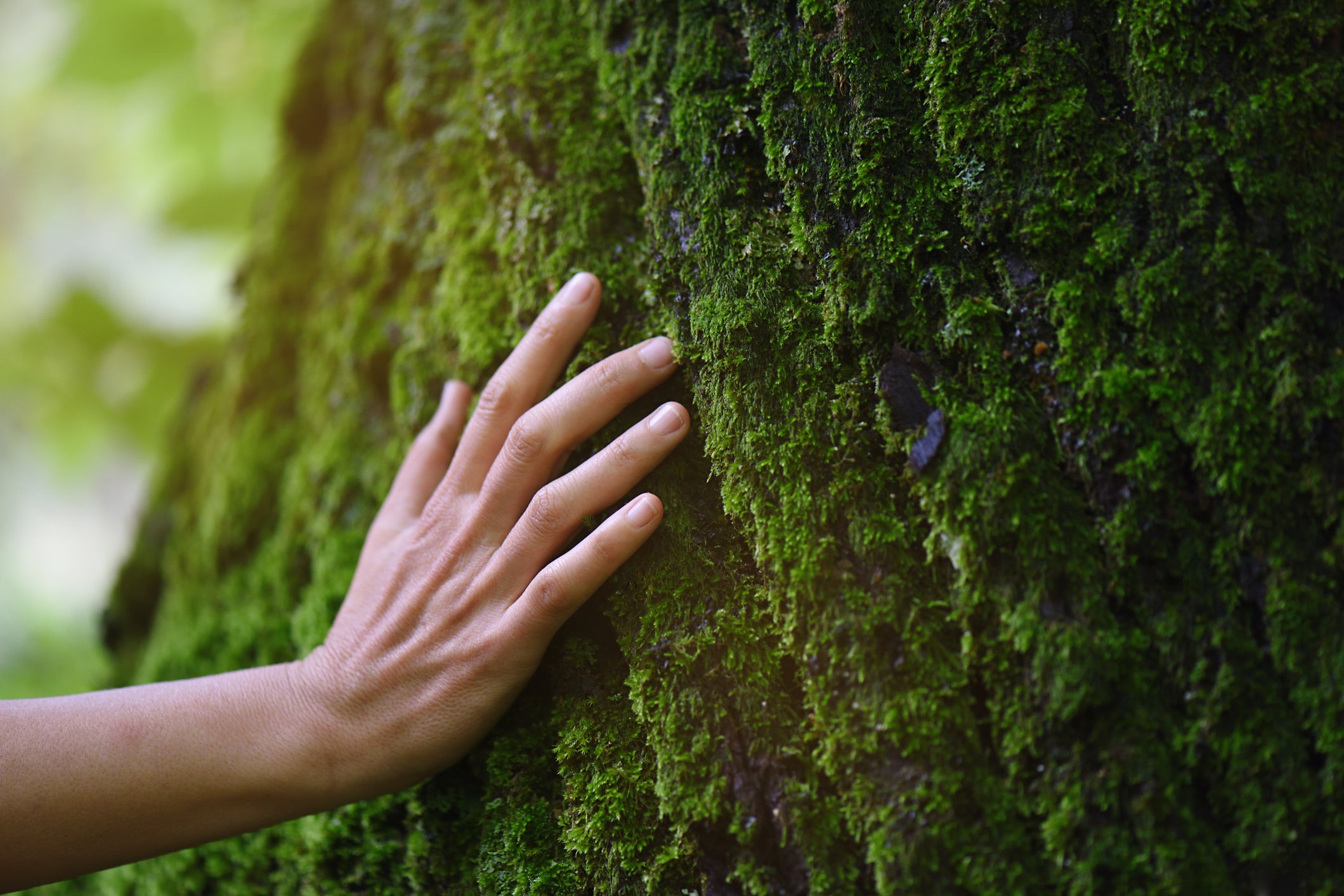 Natural Living: A Simple Guide to 10 + 1 Daily Practices